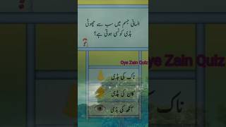 Oye Zain Quiz 💯 insan man boon mini long body [upl. by Eenal]