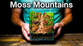 I Made a STUNNING Moss Mountain Terrarium Here’s How [upl. by Terrence24]