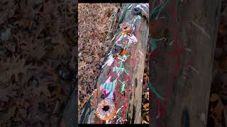 shortsvideo urban streetart trendingshorts HOMELESS IN THE WOODS FEASTING vtuber [upl. by Stieglitz]