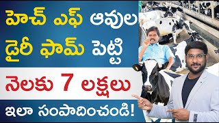 HF Cow Farming in Telugu  How to Start HF Cow Farming  HF Cow Milk Per Day  HF Cow Benefits [upl. by Tteve131]