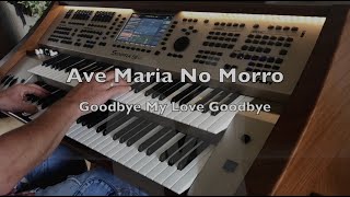 Ave Maria No Morro Goodbye My Love Goodbye [upl. by Azmah]