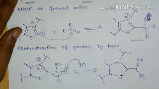 Benzoin amp RetroBenzoin condensation [upl. by Vanden]