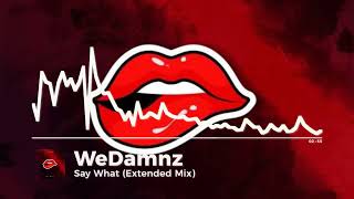 WeDamnz  quotSay Whatquot Extended Mix [upl. by Karb]