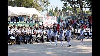 ¿Cómo realizar Honores a la bandera con banda de guerra en escuelas o la vida civil [upl. by Regen407]