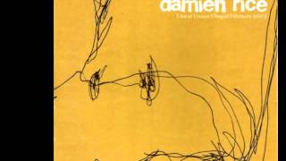 Damien Rice  Delicate Live at Union Chapel [upl. by Rrats589]