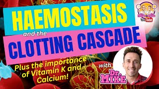 Hemostasis and the Clotting Cascade Why Vitamin K amp Calcium are important [upl. by Ailam93]