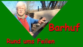 Barhuf  Rund ums Feilen Hufe beurteilen verbessern erhalten [upl. by Llenaj130]