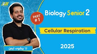 biology 2nd secondary egypt first term 2025  Cellular Respiration  part 1  bishoy ayman [upl. by Adiana]