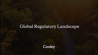 ESG Insights What You Need to Know Now – Global Regulatory Landscape [upl. by Hearn]