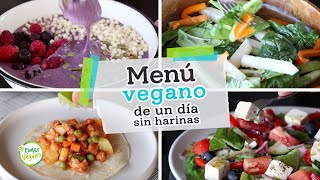 COMIDAS VEGANAS FÁCILES Y RÁPIDAS [upl. by Halvaard]