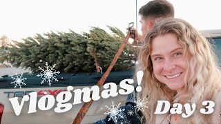 VLOGMAS DAY 3 picking out a Christmas tree grocery haul going back to school fighting my rooster [upl. by Schiff222]