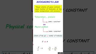 Avogadro HYPOTHESIS class 11th [upl. by Lahcim]