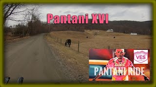 Pantani Gravel Ride 2022  Virginia Endurance Series [upl. by Buffum]