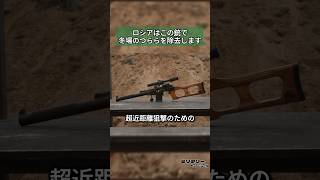 近距離戦闘に特化した狙撃銃 VSS ヴィントレス 狙撃銃 [upl. by Naihtsirc60]