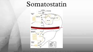 Somatostatin [upl. by Juno]