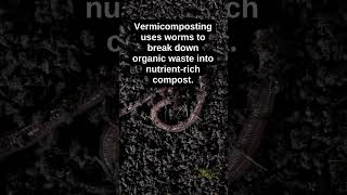 Benefits of Vermicomposting BuckeyeBloomstead [upl. by Jarv]