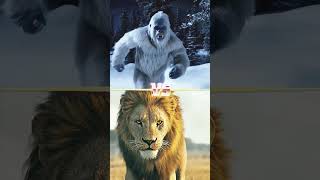 Yeti Vs Animals [upl. by Grantley67]