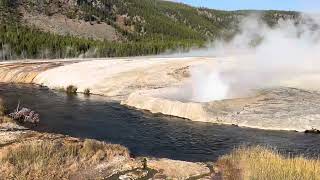 Yellowstone fumaroles next to trout river [upl. by Allisan392]