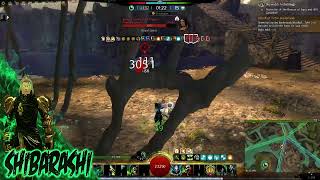 Gw2 Core Necro Weaponmaster TEST build solo Wvw raoaming [upl. by Ahsenrad]