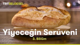 Yiyeceğin Serüveni  Ekmek  TRT Belgesel [upl. by Averell]