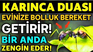 KARINCA DUASI 19 DEFA DİNLE Evinize Bolluk Bereket Rızık Getirir BİR ANDA ZENGİN EDER [upl. by Pinelli]