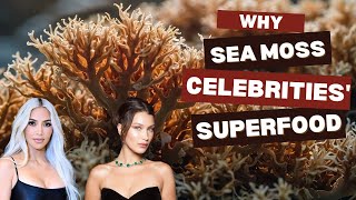 Why SEA MOSS is Celebrities Secret Superfood [upl. by Dine97]