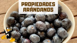 10 Propiedades de los Arándanos 🫐 ¡BENEFICIOS [upl. by Eirual]