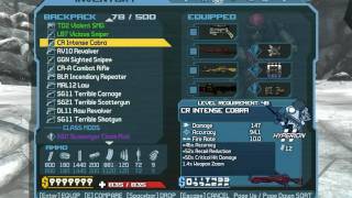 Borderlands Inventory Glitch [upl. by Skylar271]