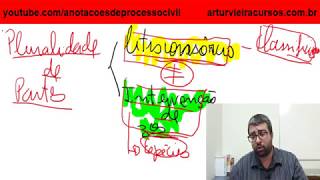 Pluralidade de partes litisconsórcio e intervenção de terceiros  noções gerais [upl. by Annmarie803]