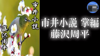 【朗読】「市井小説 掌編（如月）」江戸の十二カ月を鮮やかに切りとった掌篇集 “江戸おんな絵姿十二景”。著者最後の作品集！【時代小説・歴史小説／藤沢周平】 [upl. by Doowron]