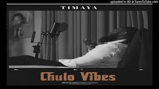 Timaya  Don Dada Lyrics Visualizer [upl. by Nollek]