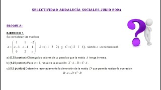 Selectividad Andalucía Junio 2024 Sociales Bloque A Matrices Matemáticas CCSS [upl. by Lehcar]