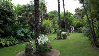 4 03082010 Vom 0108  09082010 SüdEngland Abbotsbury SubTropical Gardens 1Teil [upl. by Nic319]