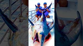 Giant swordfish caught on small 25 Talica badcompanyfishingadventures most epic sporting battle [upl. by O'Toole]