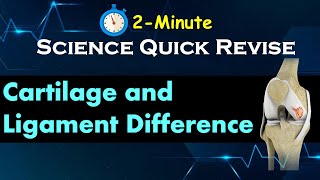 quotCartilage vs Ligament Understand the Difference in Just 2Minutesquot Learn Science Concepts Quickly [upl. by Lemmueu]