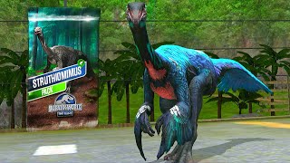 NEW STRUTHIOMIMUS X3 MAX LEVEL 40  JURASSIC WORLD THE GAME [upl. by Whitney973]