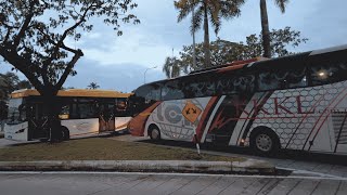 Bus Spotting at Terminal Larkin Sentral [upl. by Bohaty]