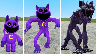 EVOLUTION OF CATNAP MONSTER VS ALL POPPY PLAYTIME CHAPTERS 13 MONSTERS In Garrys mod [upl. by Malas]