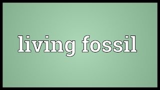 Living fossil Meaning [upl. by Oppen]