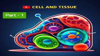 CELL amp TISSUE Part1  Class 12th I 11th NEET  BSc BIOLOGY  Important Chapter [upl. by Elvie]