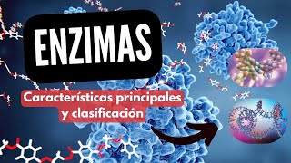 ENZIMAS CATALIZADORES BIOLÓGICOS I CLASIFICACIÓN Y CARACTERÍSTICAS PRINCIPALES [upl. by Emalee]