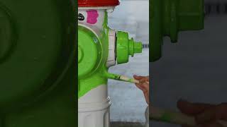 Philly Phanatic Fire Hydrant  North Penn Water Authority 2024 Fire Hydrant Design Contest Winner [upl. by Raffo592]