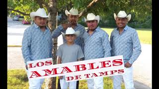 LOS AMABLES DE TAMPS MIX DE HUAPANGOS [upl. by Rollet]