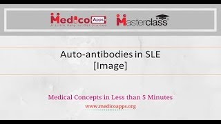 Autoantibodies in SLE Image [upl. by Nysa]