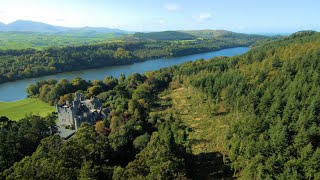 Castlewellan Forest Park [upl. by Leahcimnoj]