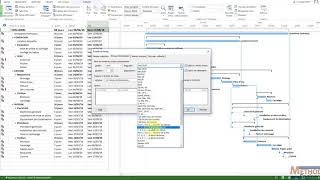 Les dates Ordinales dans MS Project vidéo 1 sur 2 [upl. by Henebry320]