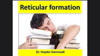 Anatomy of reticular formation  NUCOM 34 [upl. by Stav327]