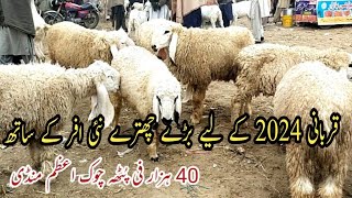 23 January 2024 Bakra mandi chok azam layyah rate new update  Qurbani 2024 ky lye kajlay chatray [upl. by Ellerrad953]