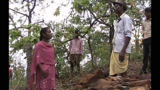 Stone bunding to check run off amp soil erosion Odia PRAGATI Odisha [upl. by Hilar994]