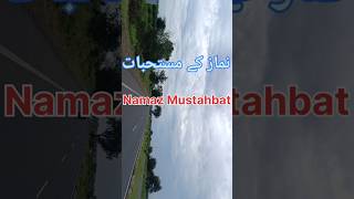 Namaz kae Mustahbad  Nazame kaisi pademessageofislamicsmh islamicshorts viralvideo nizamuddin [upl. by Ephrayim]